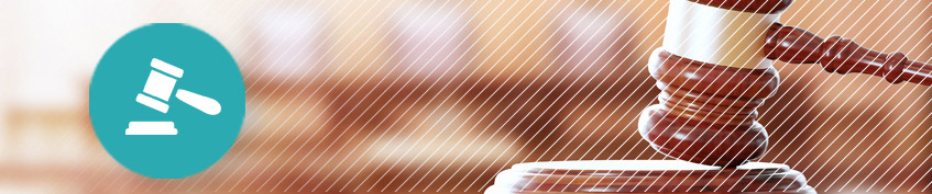 Food Trial & Litigation Counsel